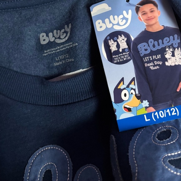 BLUEY Kids Character Soft Crewneck Sweatshirt Blue with Embroidery & Appliqué - Picture 2 of 10